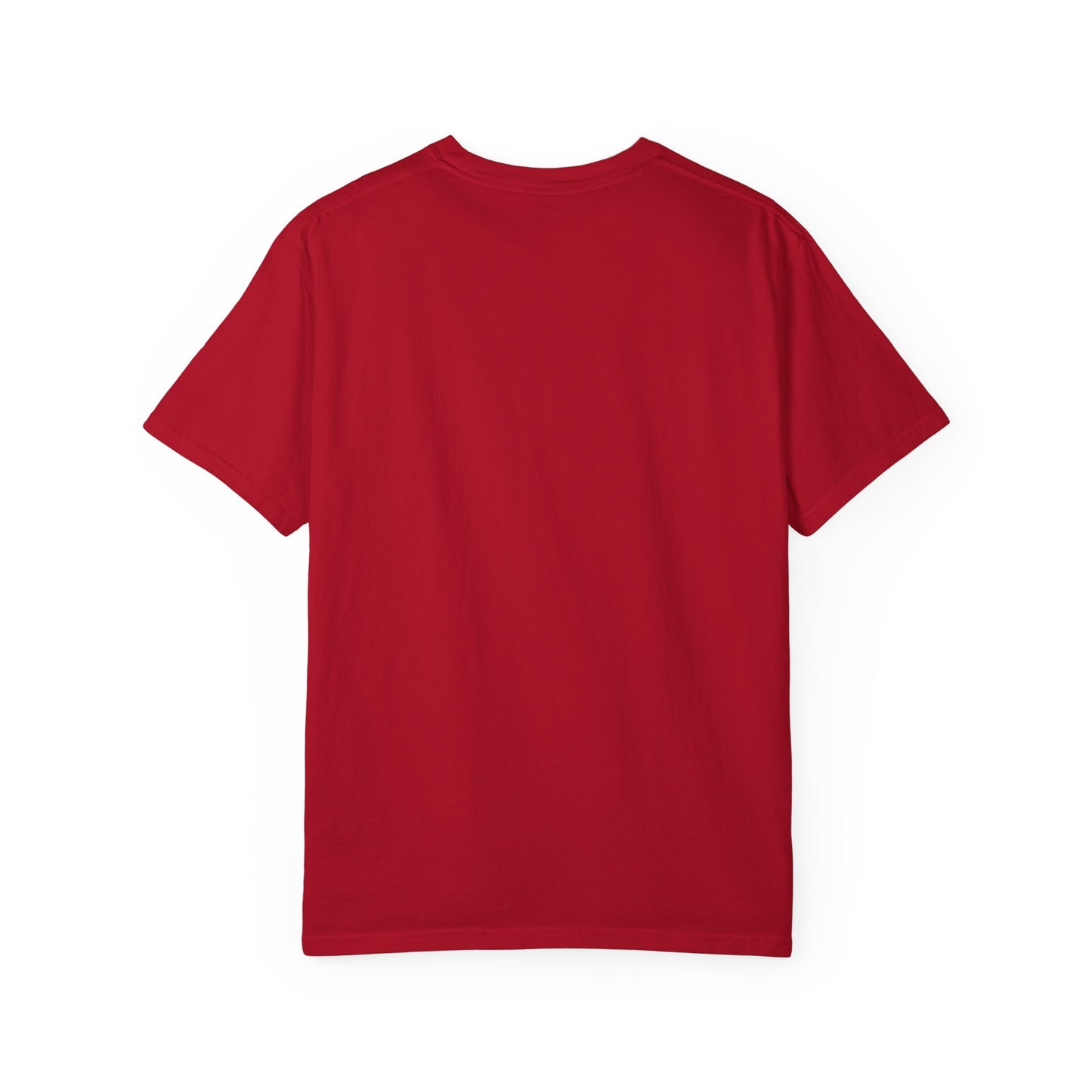 Animation Inspired T-Shirt - Pigaly and Lily's Adventure Show